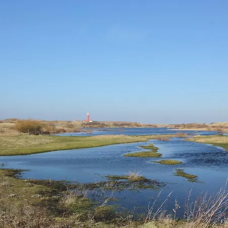 Holiday Waddenbries *