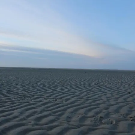 Holiday Waddenbries